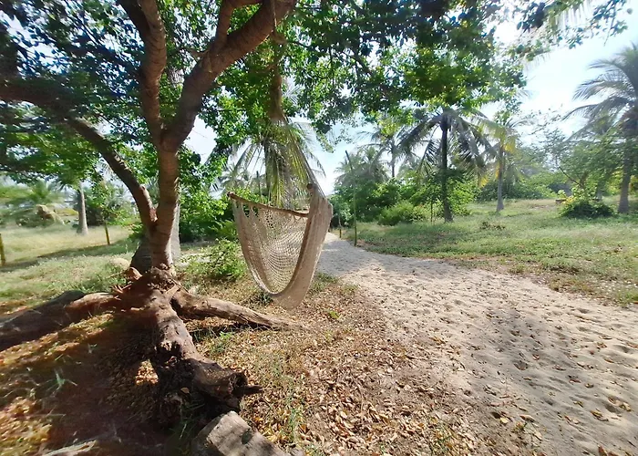 Casa Icaco, Naturaleza y calma junto al mar